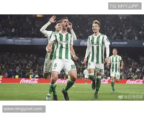 冰岛与北爱尔兰足球对决全面分析战术特点与球员表现