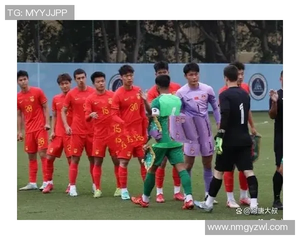 福建队展现强大爆发力对抗南京队全力以赴的精彩对决