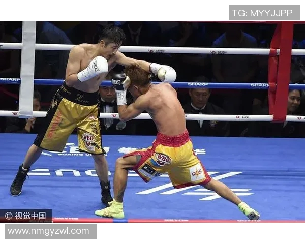 邹市明挑战日本拳击手展现中国拳击实力与风采