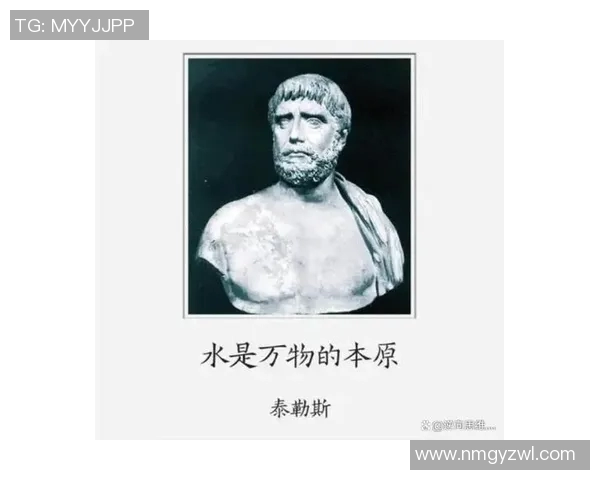 谢什科的传奇人生与对现代艺术的深远影响探讨