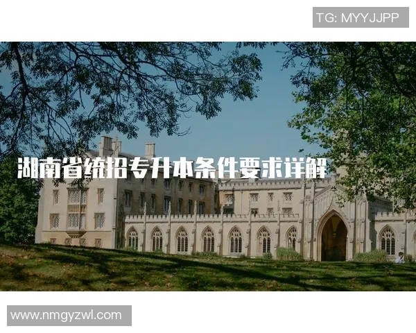 铁路工场与拉普大学的对比分析与发展前景探讨 铁路工场与拉普大学的对比分析与发展前景探讨