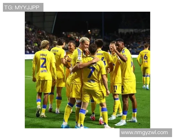 西布朗维奇迎战赫尔城两队争夺英冠积分榜重要位置