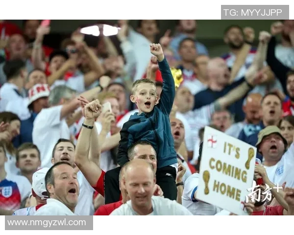 南京乒乓球队的转型之路探秘与挑战解析欧锦赛特别报道