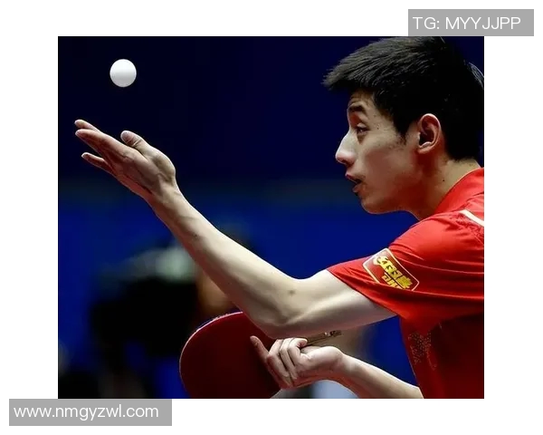 张继科与许昕2017年巅峰对决回顾乒乓球赛场上的激情与荣耀