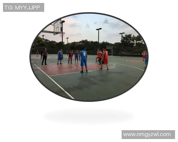 杭州乒乓球队区域防守创新探索与实践分析全面解读MBA