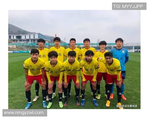 武汉足球队与广州足球队赛后分析个人能力的深度对比与启示