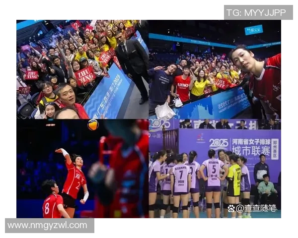 深圳排球队创历史新高排球速度排名再创新高峰