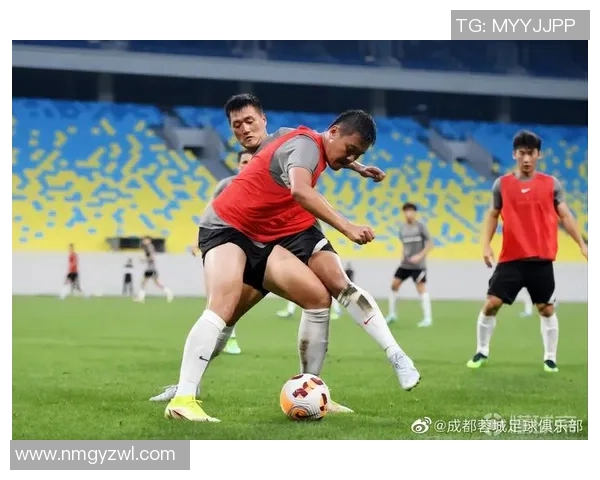 成都足球队实力提升引发热议球迷期待新篇章的到来