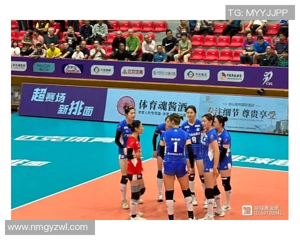 武汉排球队运营揭秘：深度解析排球背后的故事与挑战